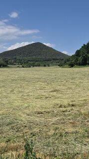 Photo de Thomi W le long du parcours