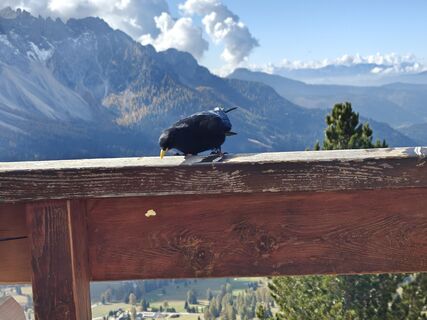 Foto från Klaus Scharfe under resans gång