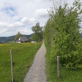 Weg zur Rundumsicht