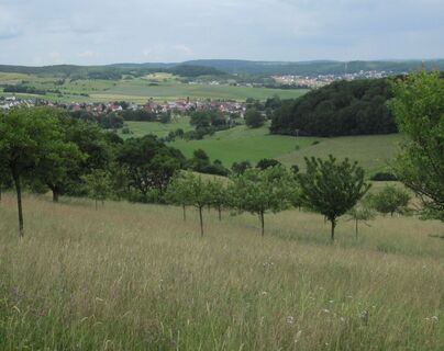 Ausblick