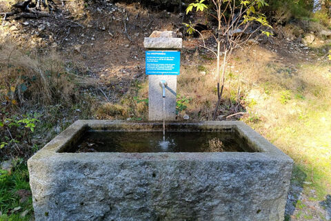 An der Zellermooshütte