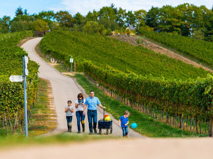 Familie Annis Schwarzwaldgeheimnis