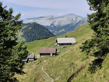 Photo de Thomi W le long du parcours