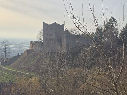 Foto von Michel Kennel entlang der Tour