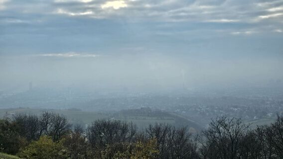 Foto von Alexandra Stani entlang der Tour