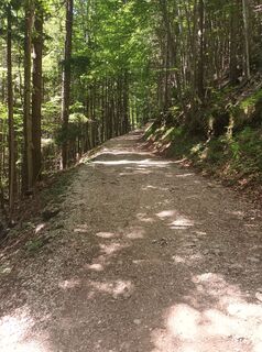 Foto de Barbara Stöglehner a lo largo del recorrido