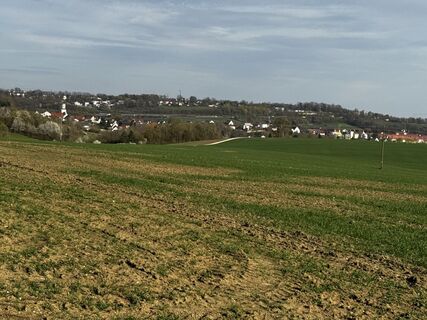 Fotografia z Schaali na trase