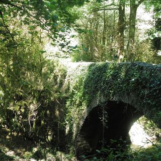 Gratwanderung