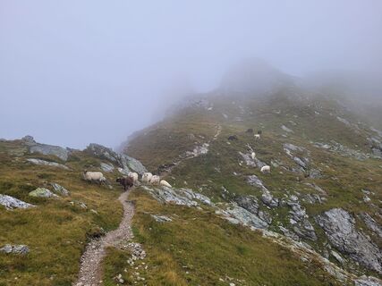Fotografia z schenkeli na trase