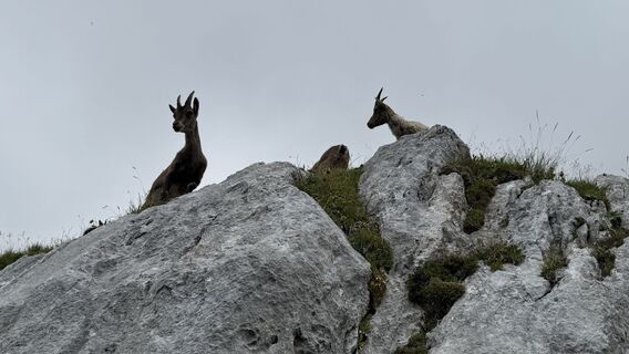 Foto de Brigitta Jencski a lo largo del recorrido