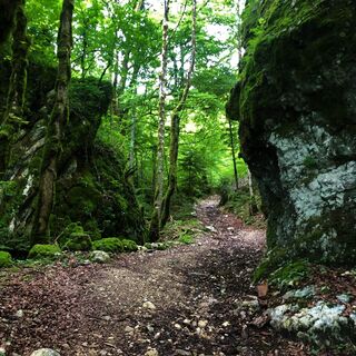 Weg entlang des Bachs von Brançon