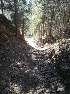 Fotografie z Hans-Peter Brandstätter na trase