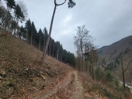 Foto von Veljko Vujakovic entlang der Tour