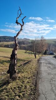 Zdjęcie z Bscheffer wzdłuż trasy