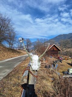 Fotografie z Dagmar Hofer na trase