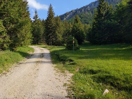 Foto från Wutha under resans gång