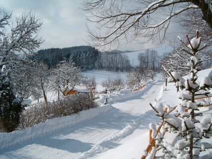 Trippolthof