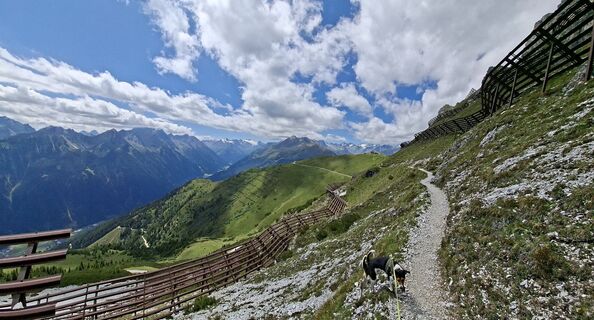 Fotografija s spletne strani bart8rombouts na poti