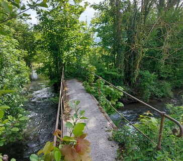 La noye