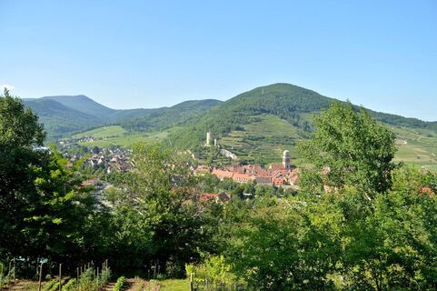 Weinwanderung Kaysersberg Sigolsheim