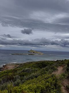 Foto de noddy suter a lo largo del recorrido