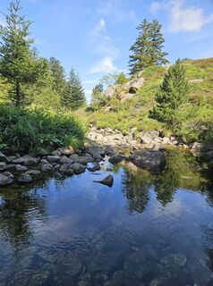 Photo de Andreas Schneider 7 le long du parcours