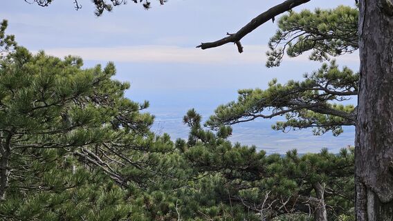 Foto von Robert8992 entlang der Tour