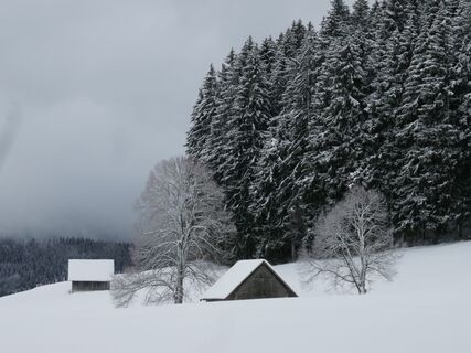 Winterwanderung Guggisberg