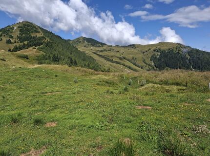 Foto de WaGla a lo largo del recorrido