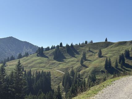 Fotografia z Angelikagraf na trase