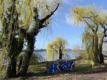 Photo de Ilona Schuster le long du parcours