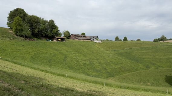 Foto von Peter Burki entlang der Tour