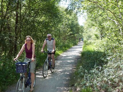 Radfahrer im Moor