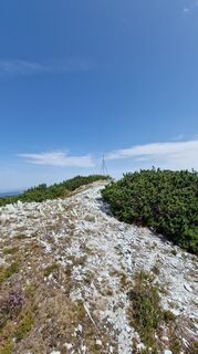 Foto von Lux Lumen entlang der Tour