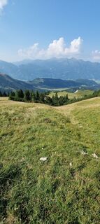 Photo de Mario Libardi le long du parcours