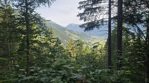 Foto von Klaus Reinhold entlang der Tour