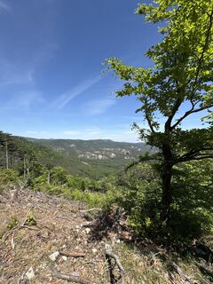 Foto de NezSari a lo largo del recorrido