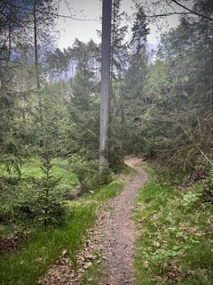 Fotografia z Václav Stejskal na trase