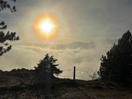 Photo de Georgiamartin0815 le long du parcours