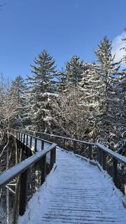 Foto de Richard Vlcek a lo largo del recorrido
