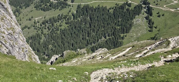 Photo de Patrick Weber 4 le long du parcours
