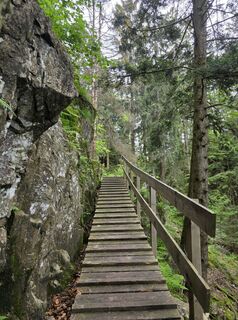 Photo de Noreen (NoKe) le long du parcours