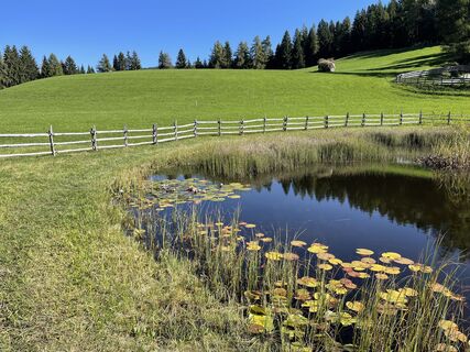 Fotografia z holgerwag na trase