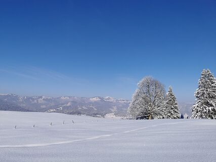 Winterwandern in Schetteregg
