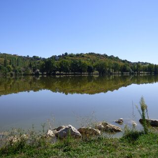 Der See