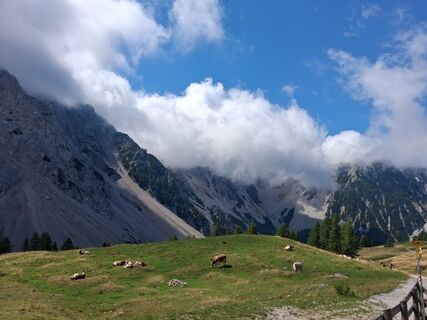 Fotografija s spletne strani Christian Schütte na poti