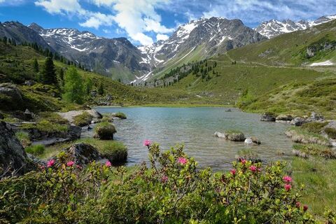 Fundussee