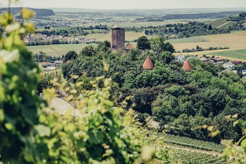 Burg Hohenbeilstein | HeilbronnerLand