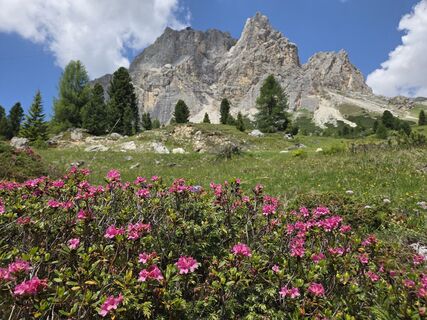 Foto de Gerti Bärnthaler a lo largo del recorrido