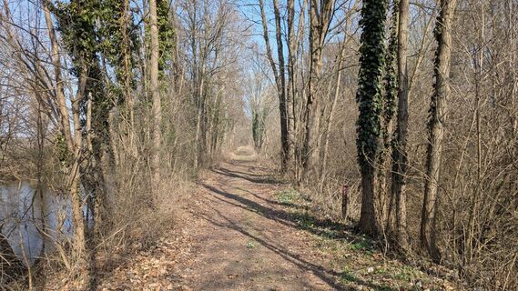 Fotografija s spletne strani Edero na poti